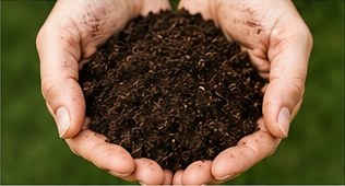Hands holding finished compost
